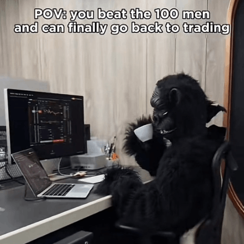 gorilla